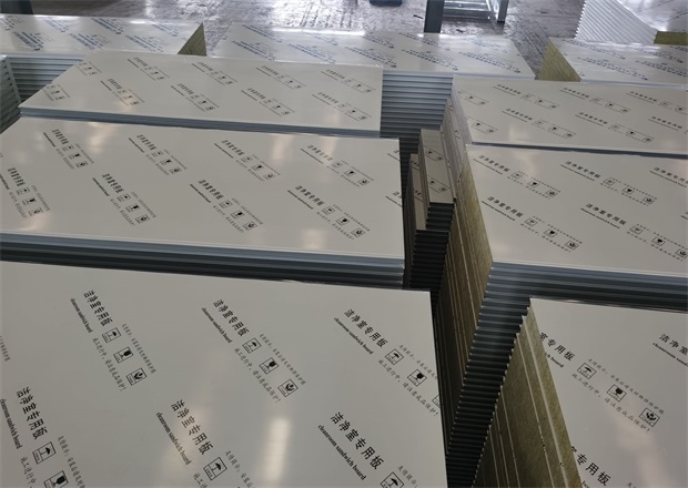 (中国)科技公司板